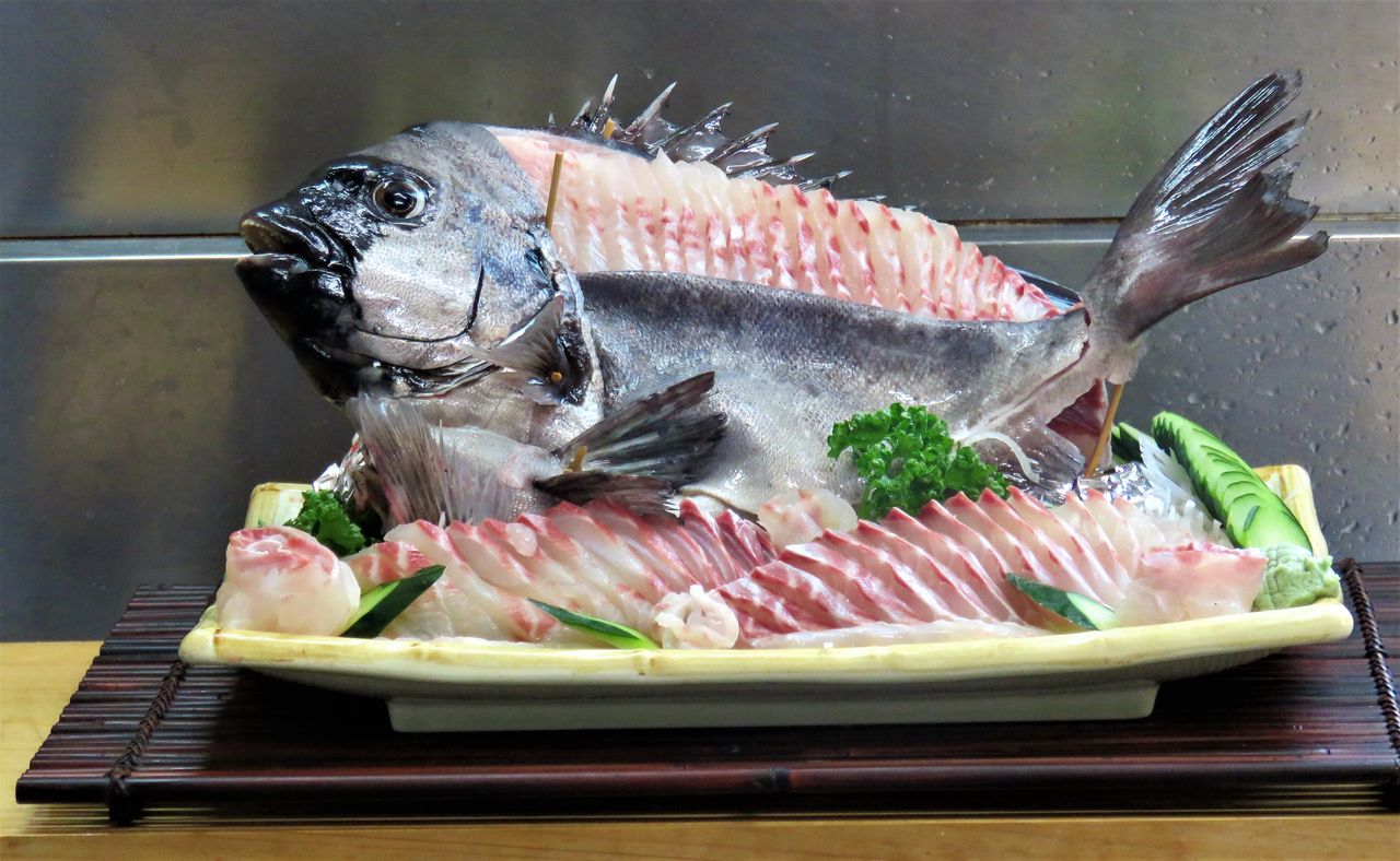 故郷の里海に秋を見つける 土佐料理 旬の鰹がゆく