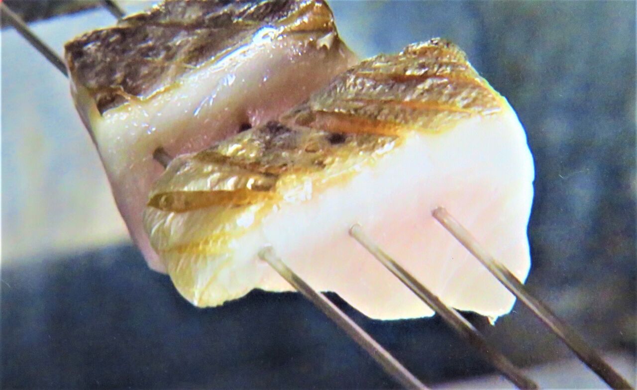 冬の風物詩 寒鰆漁 土佐料理 旬の鰹がゆく 冬の風物詩 寒鰆漁 土佐料理 旬の鰹がゆく