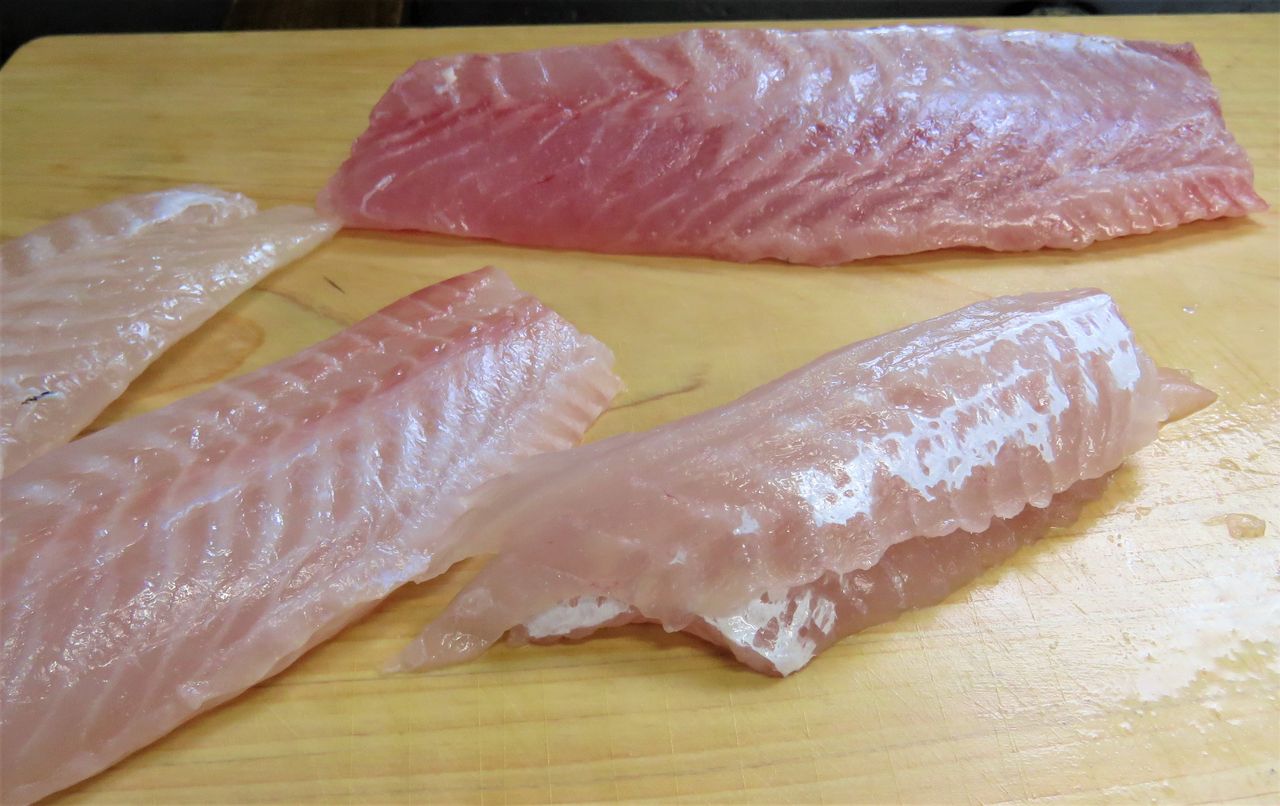 成長別にみる食材の美味しさ 魚編 土佐料理 旬の鰹がゆく 成長別にみる食材の美味しさ 魚編 土佐料理 旬の鰹がゆく