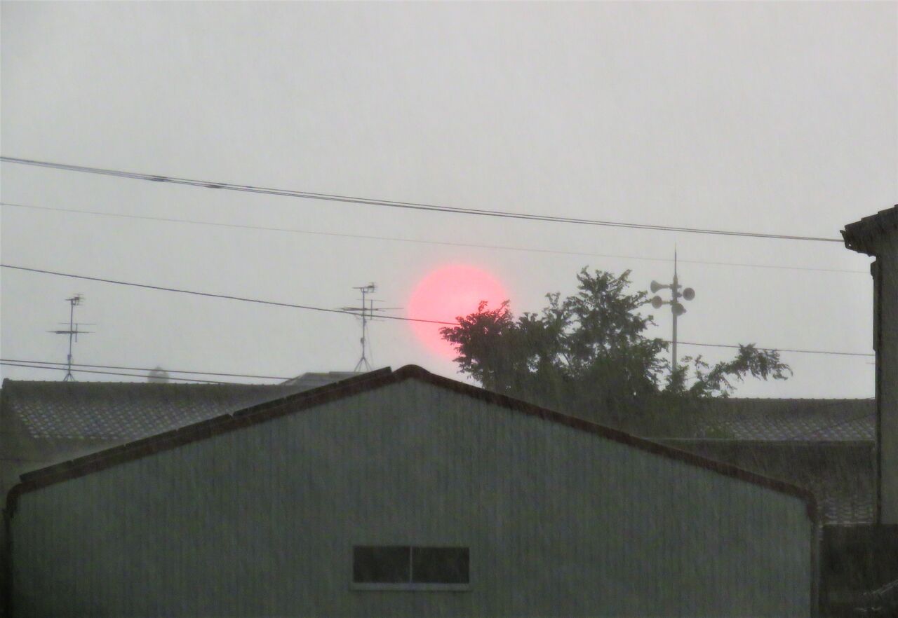 夕立という現象 土佐料理 旬の鰹がゆく 夕立という現象 土佐料理 旬の鰹がゆく