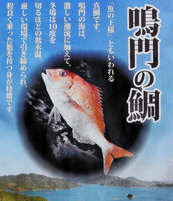 鳴門へ来たなら鳴門鯛と・・・ : 土佐料理 旬の鰹がゆく！