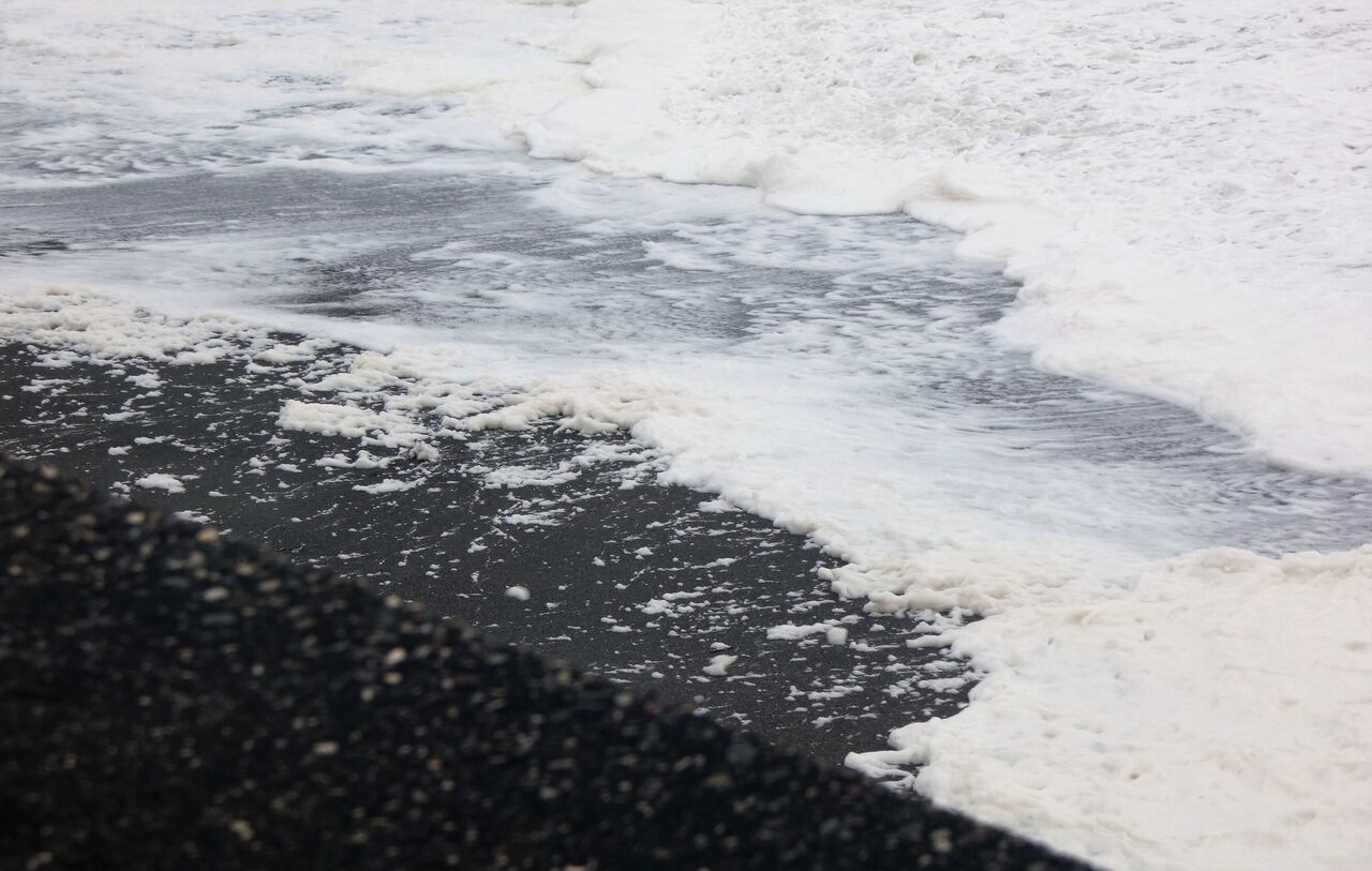 台風が咲かせた波の花 土佐料理 旬の鰹がゆく