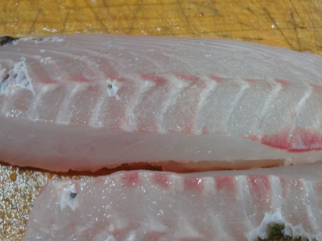 春の鮮魚 室戸編 土佐料理 旬の鰹がゆく 春の鮮魚 室戸編 土佐料理 旬の鰹がゆく