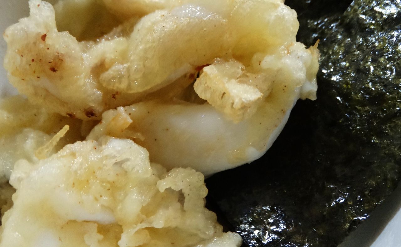 モンゴウイカ 土佐料理 旬の鰹がゆく モンゴウイカ 土佐料理 旬の鰹がゆく