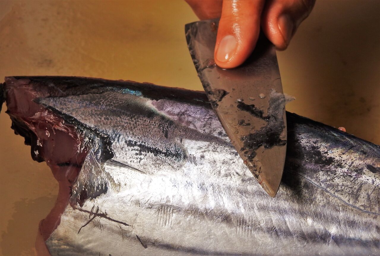 高知から早くも初鰹の便り⁉ : 土佐料理 旬の鰹がゆく!