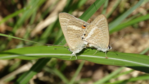 DSC01569