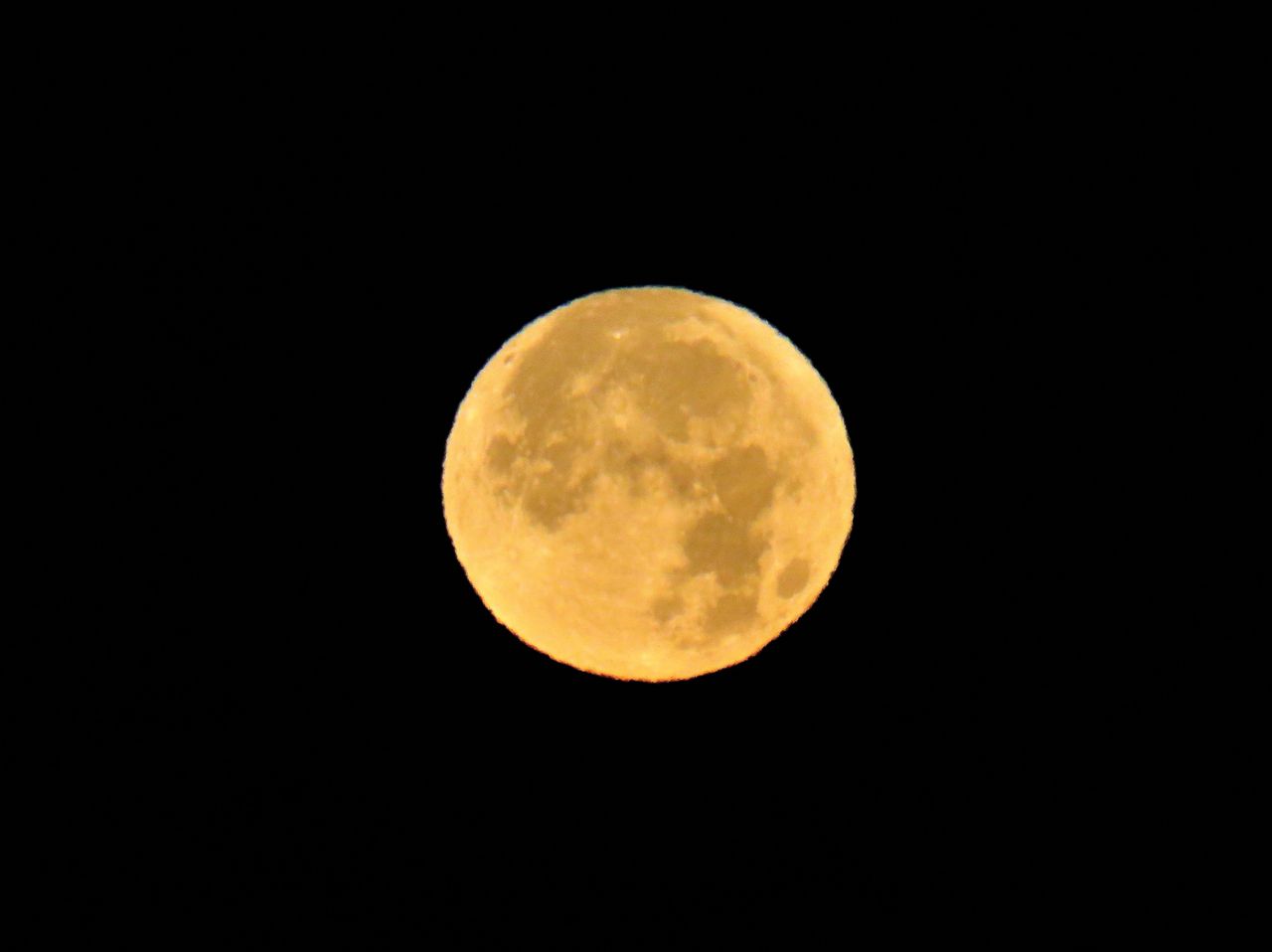 太陽と地球と月の三重奏 土佐料理 旬の鰹がゆく