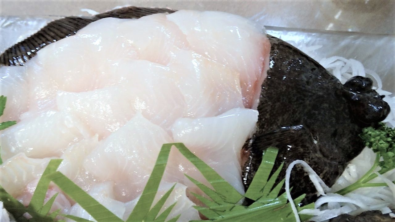ナガレメイタガレイ 土佐料理 旬の鰹がゆく ナガレメイタガレイ 土佐料理 旬の鰹がゆく