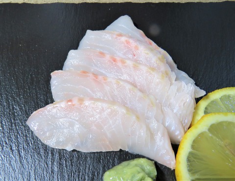 イシガキダイ 刺身