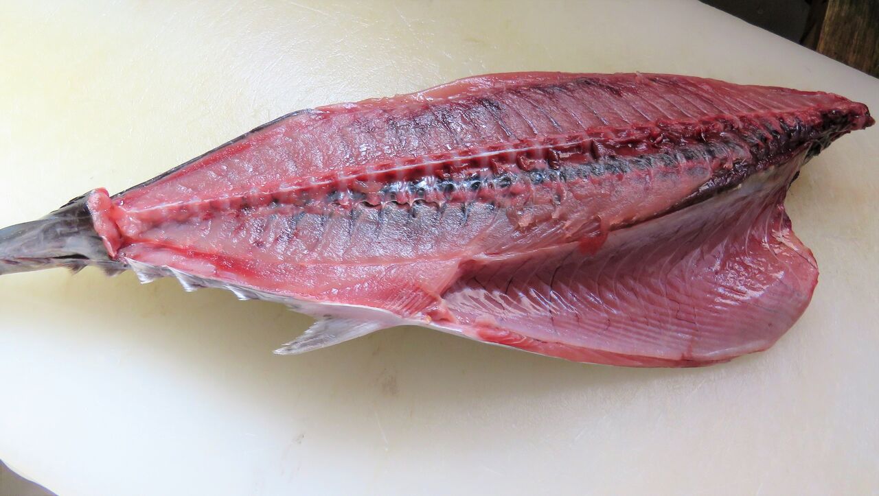 高知の伝統 土佐料理 旬の鰹がゆく 高知の伝統 土佐料理 旬の鰹がゆく