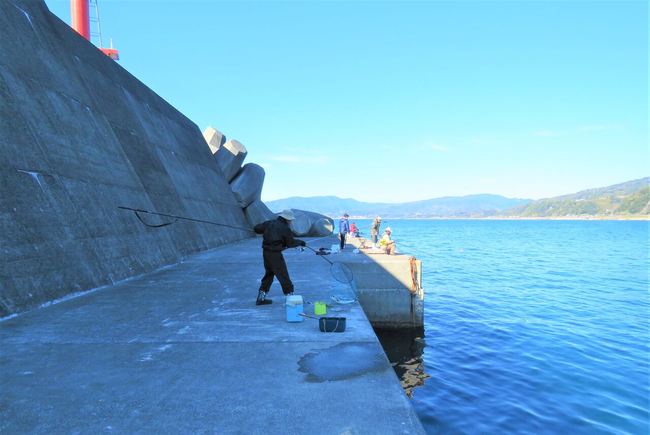 加領郷漁港の石物師 イシダイ釣りと料理 土佐料理 旬の鰹がゆく