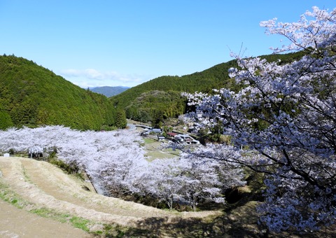 DSCN7456
