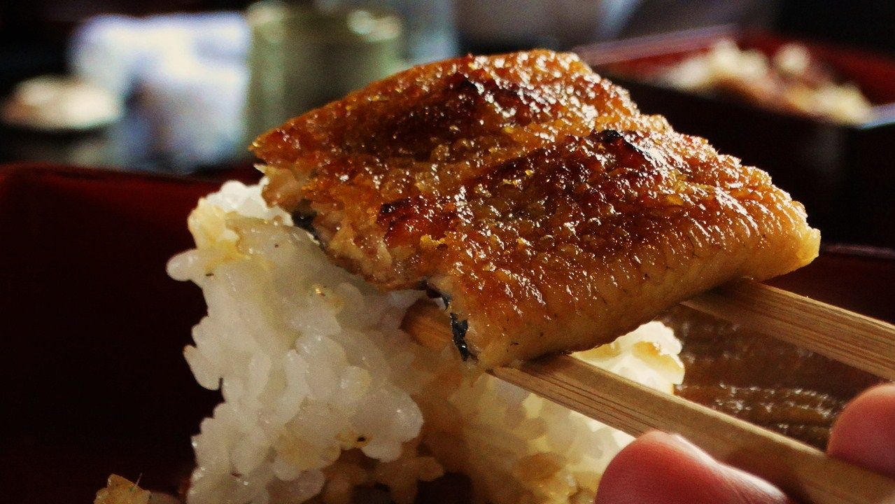 うなぎ処福 土佐料理 旬の鰹がゆく
