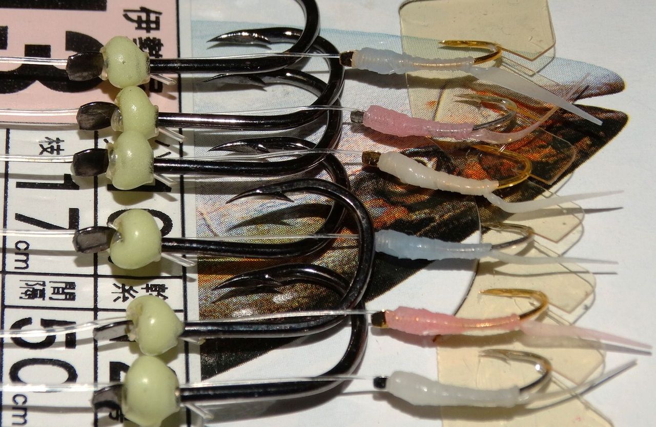秋のハマチ釣り 土佐料理 旬の鰹がゆく 秋のハマチ釣り 土佐料理 旬の鰹がゆく