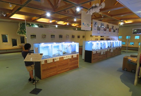 四万十川学遊館