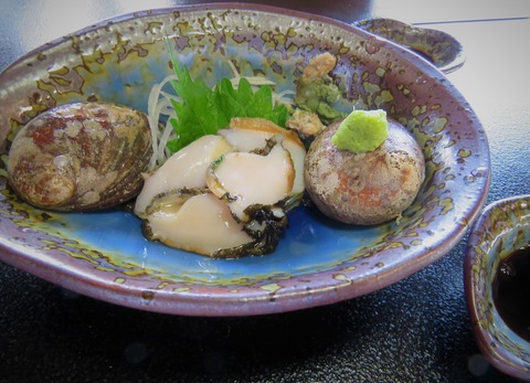 トコブシの刺身