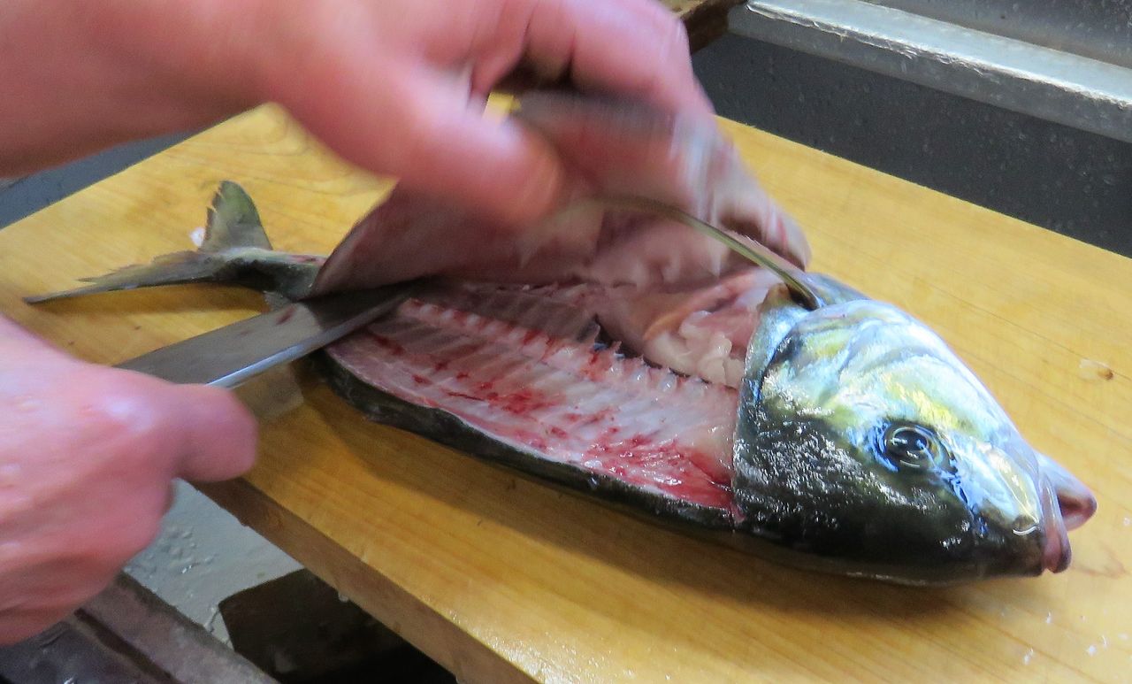 旬に入る天然魚と旬を外れた養殖魚の品質 土佐料理 旬の鰹がゆく