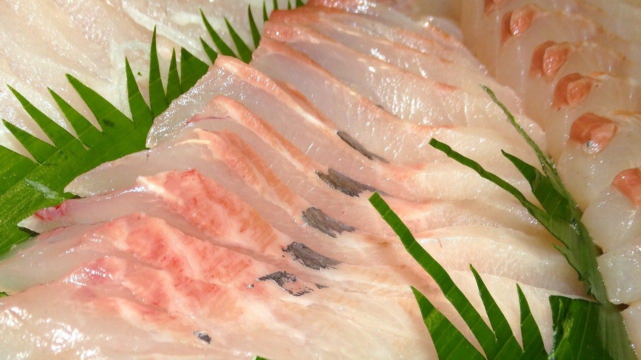 オキアジ刺身 土佐料理 旬の鰹がゆく