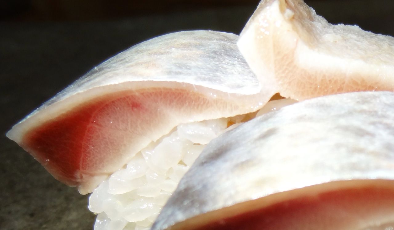 季節の逸品鮮魚 大衆魚編 土佐料理 旬の鰹がゆく