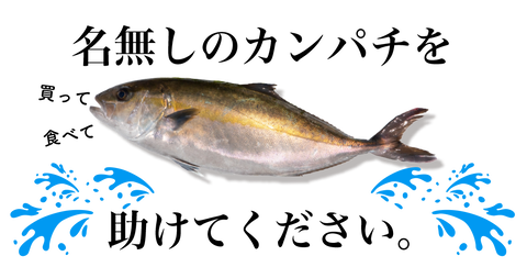 高知の食材 海産物 水産資源 土佐料理 旬の鰹がゆく 高知の食材 海産物 水産資源 土佐料理 旬の鰹がゆく