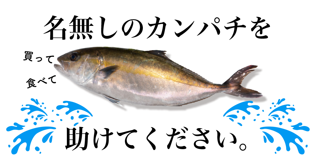 高知の食材 海産物 水産資源 土佐料理 旬の鰹がゆく