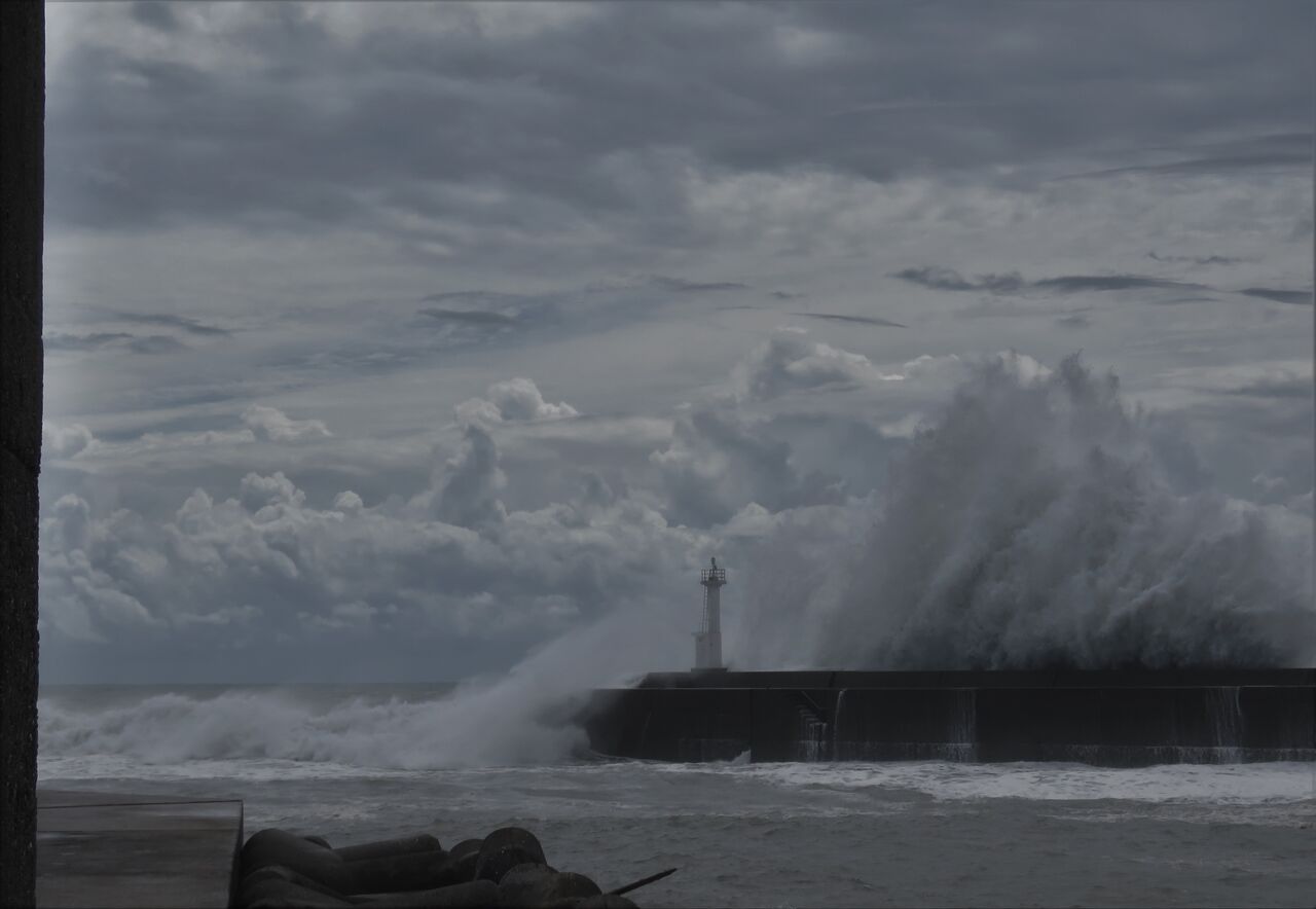 いこじな独り言 土佐料理 旬の鰹がゆく