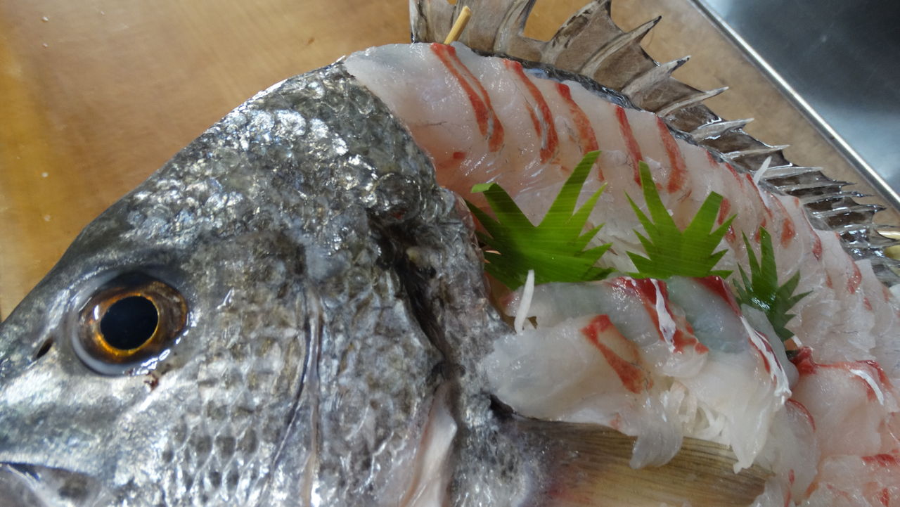 キチヌ料理 土佐料理 旬の鰹がゆく