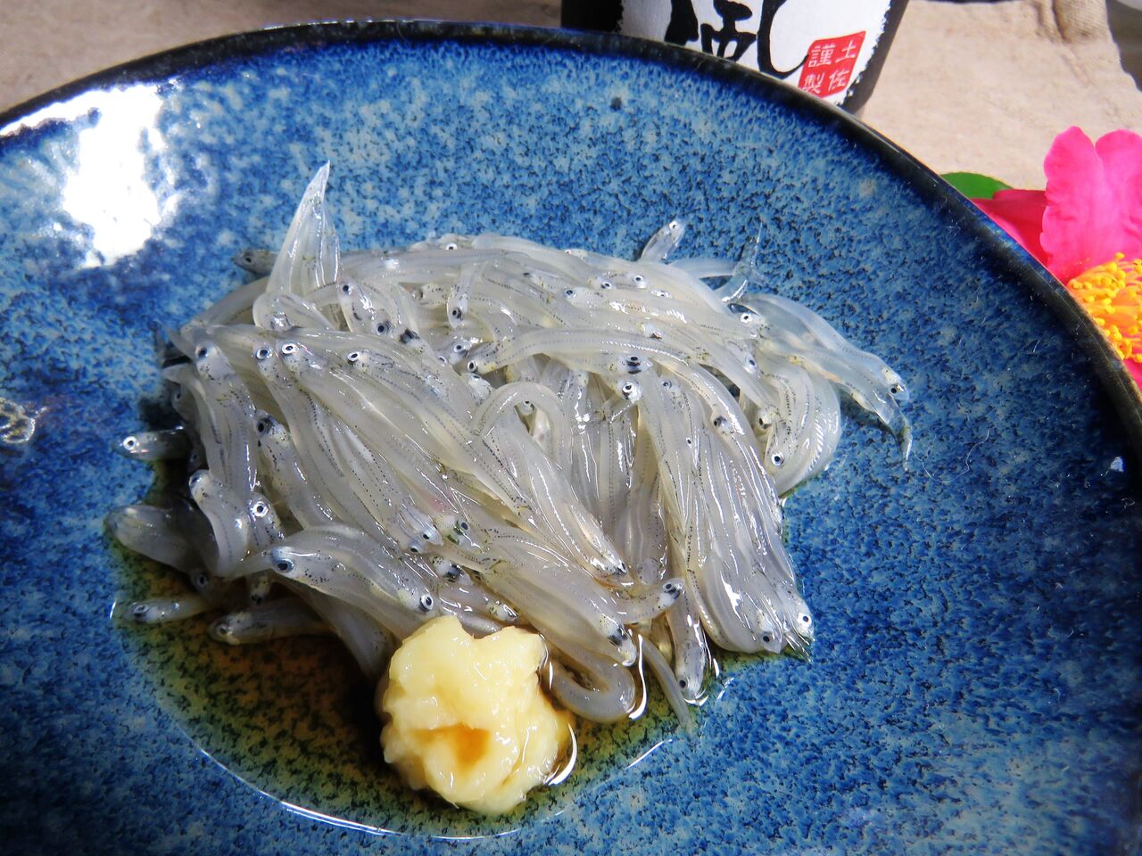 料理高知の料理 土佐料理 旬の鰹がゆく