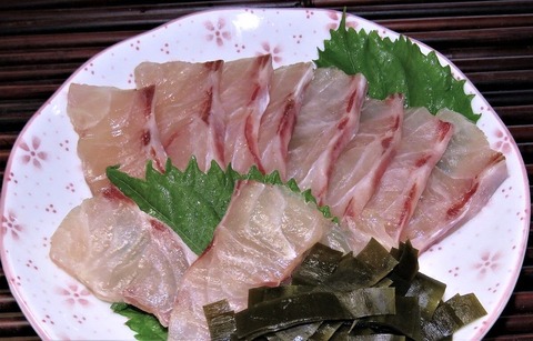 フエダイ　昆布締め