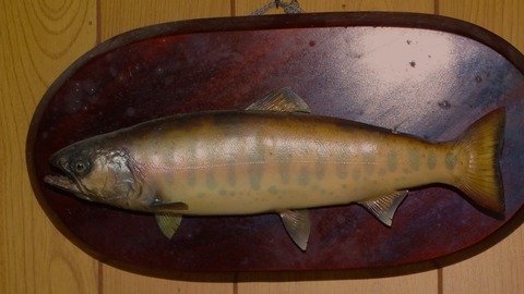 DSC09729