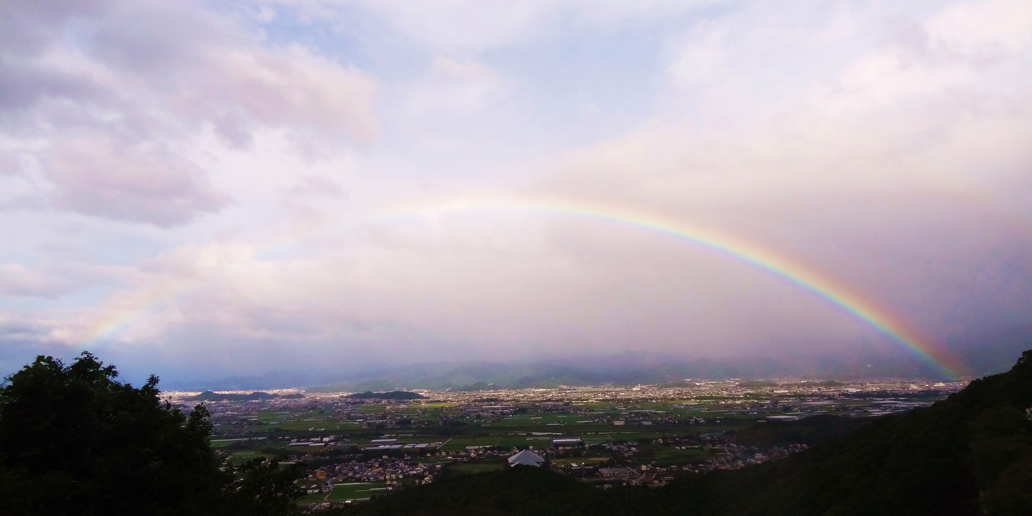 台風18号 土佐料理 旬の鰹がゆく 台風18号 土佐料理 旬の鰹がゆく
