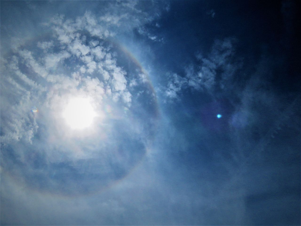 ハロ現象 土佐料理 旬の鰹がゆく