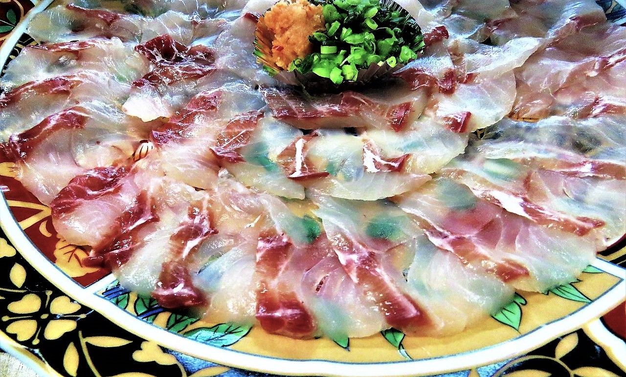 高知の珍魚 土佐料理 旬の鰹がゆく