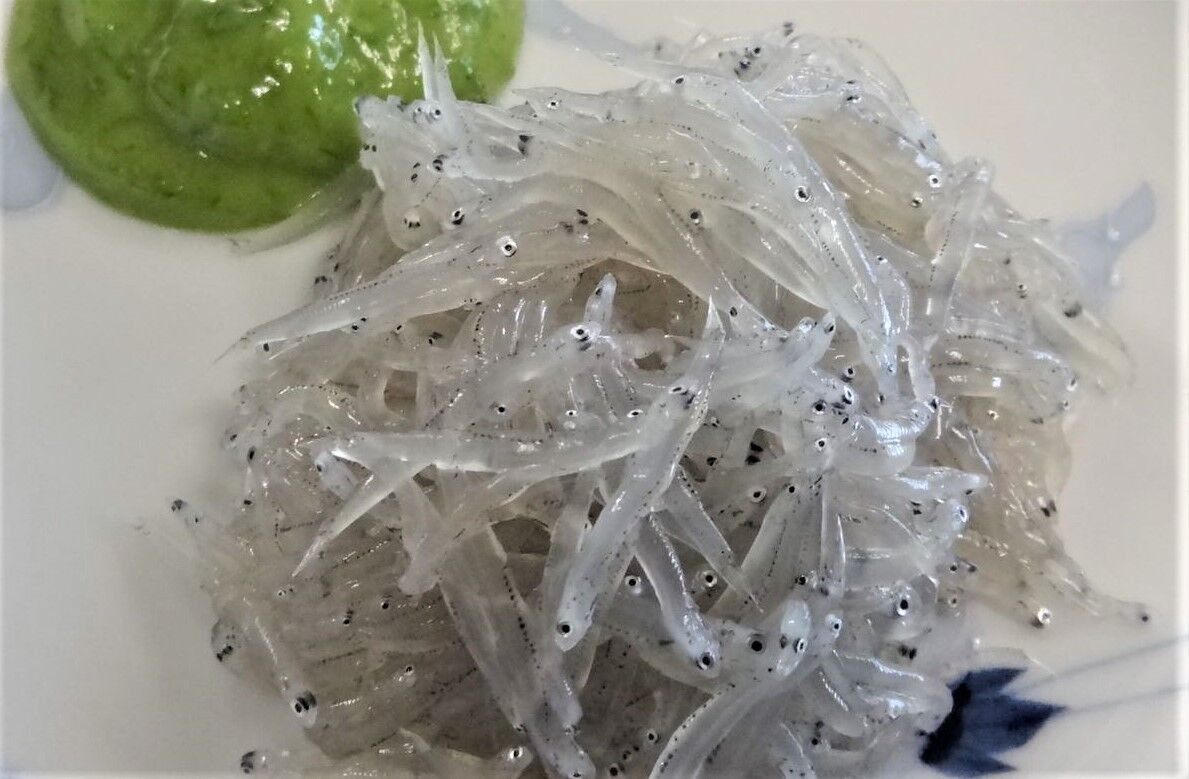 名も無き者たちの神々しき集い 土佐料理 旬の鰹がゆく