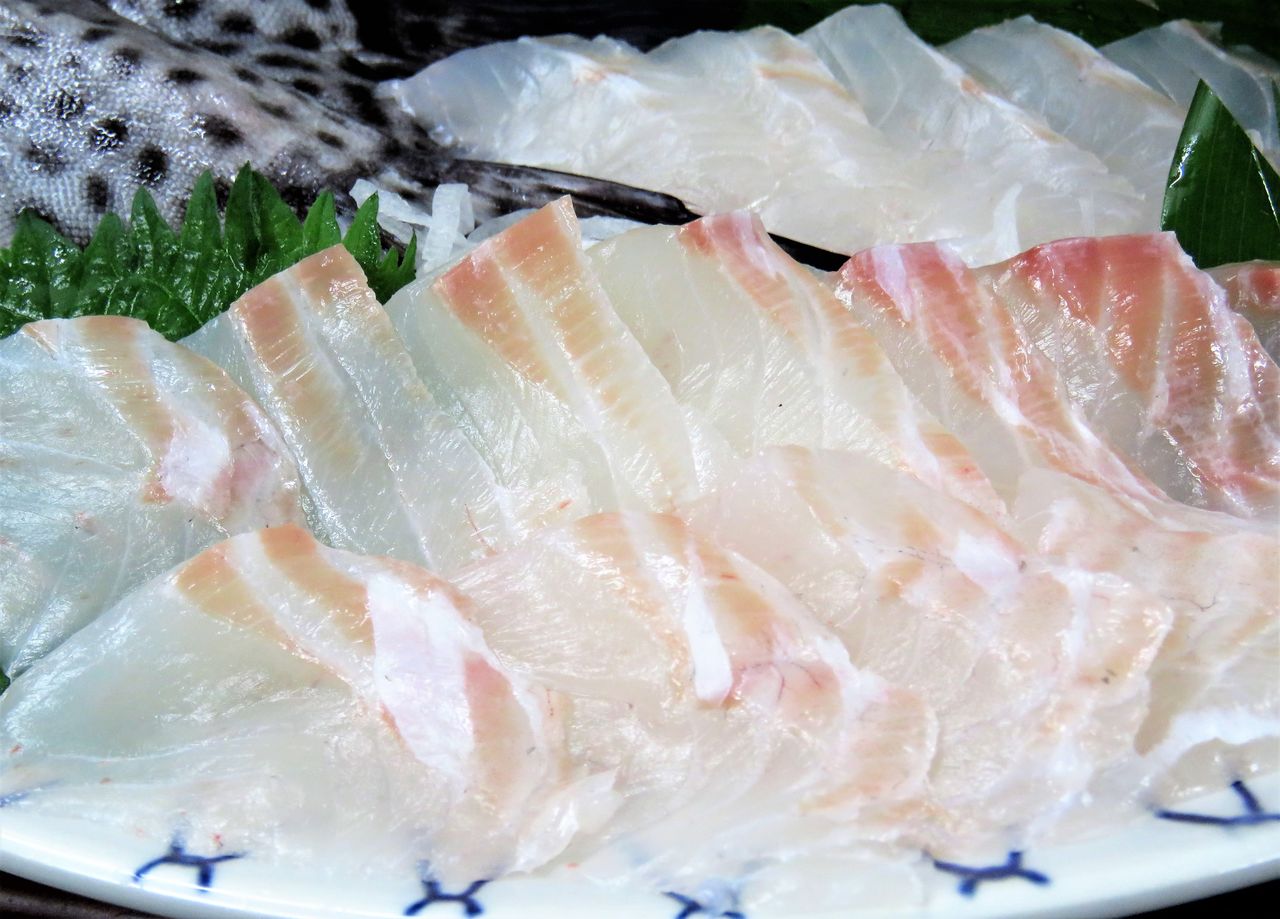 旬の家庭料理 土佐料理 旬の鰹がゆく 旬の家庭料理 土佐料理 旬の鰹がゆく