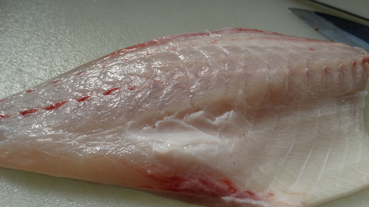 家庭の炙り鮮魚 土佐料理 旬の鰹がゆく 家庭の炙り鮮魚 土佐料理 旬の鰹がゆく