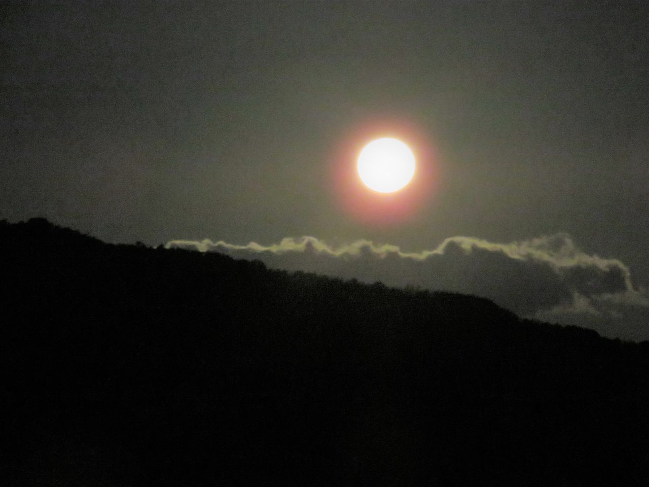 太陽と地球と月の三重奏 土佐料理 旬の鰹がゆく