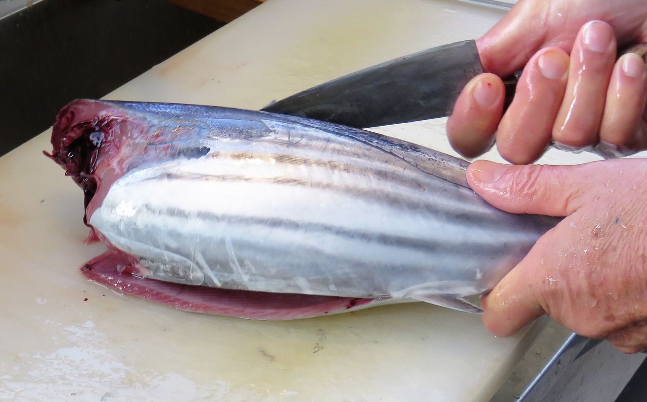 家庭で料理したタタキの話 食べる前から魚はどんどん減っていく 土佐料理 旬の鰹がゆく