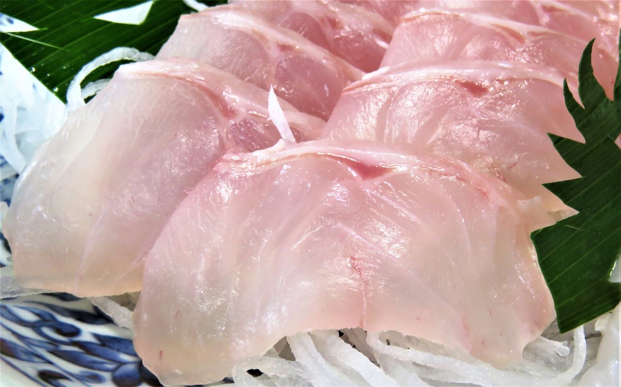 成長別にみる食材の美味しさ 魚編 土佐料理 旬の鰹がゆく 成長別にみる食材の美味しさ 魚編 土佐料理 旬の鰹がゆく
