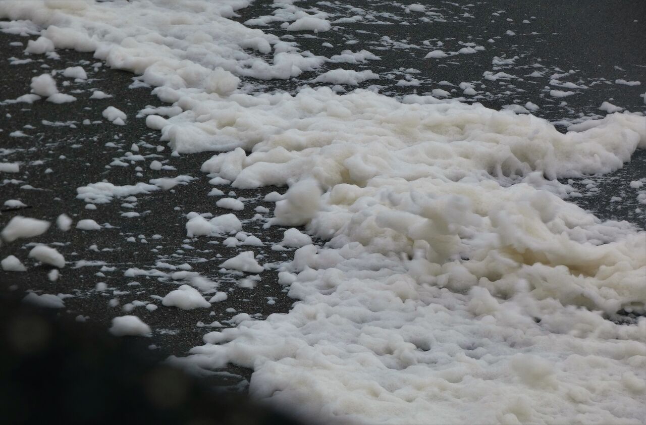 台風が咲かせた波の花 土佐料理 旬の鰹がゆく