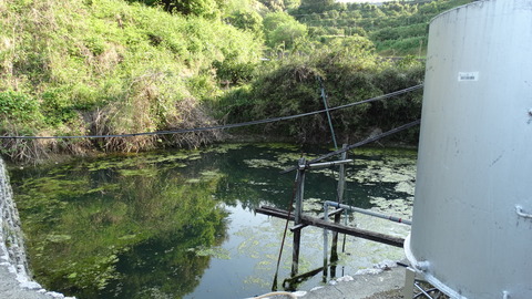 DSC00687