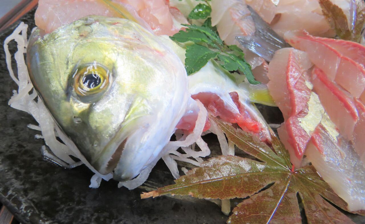 ナンヨウカイワリ 土佐料理 旬の鰹がゆく ナンヨウカイワリ 土佐料理 旬の鰹がゆく