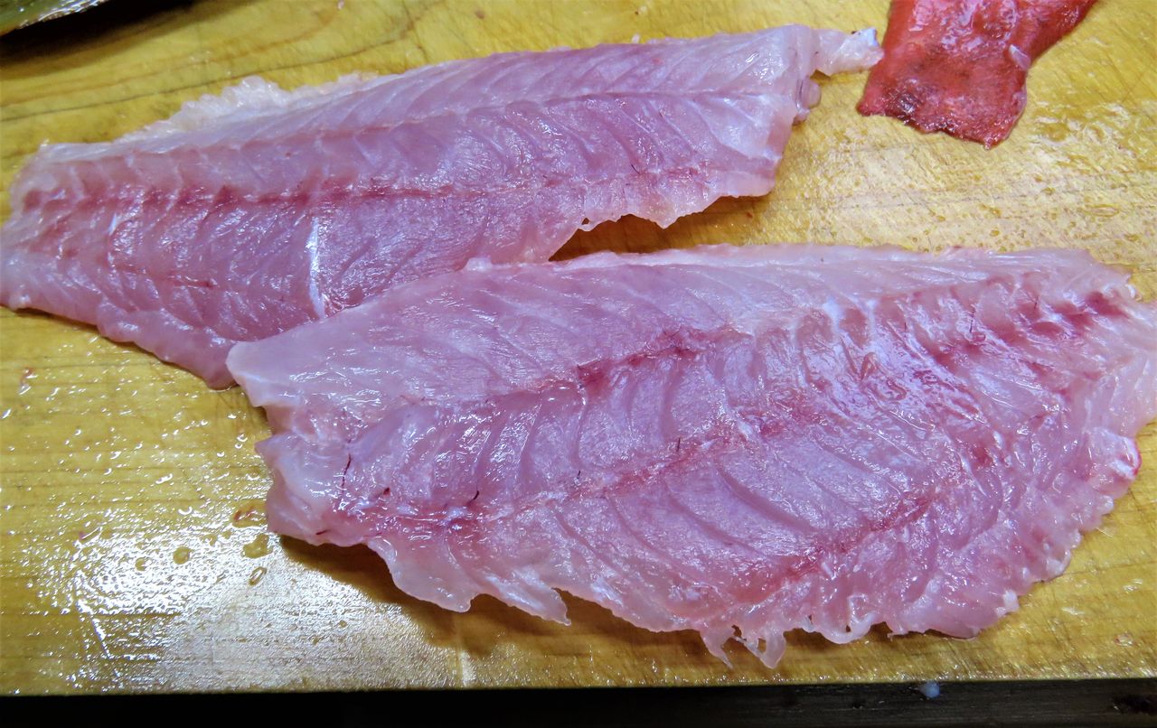 アザハタ 土佐料理 旬の鰹がゆく アザハタ 土佐料理 旬の鰹がゆく