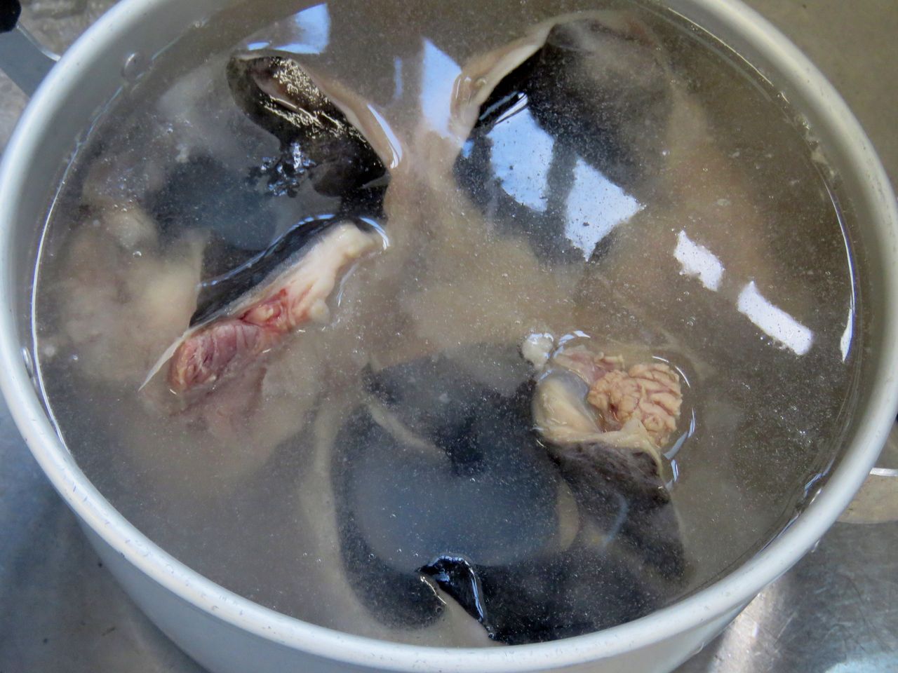 珍味マグロの目玉が奏でる土佐流の楽しい駆け引き 土佐料理 旬の鰹がゆく 珍味マグロの目玉が奏でる土佐流の楽しい駆け引き 土佐料理 旬の鰹がゆく