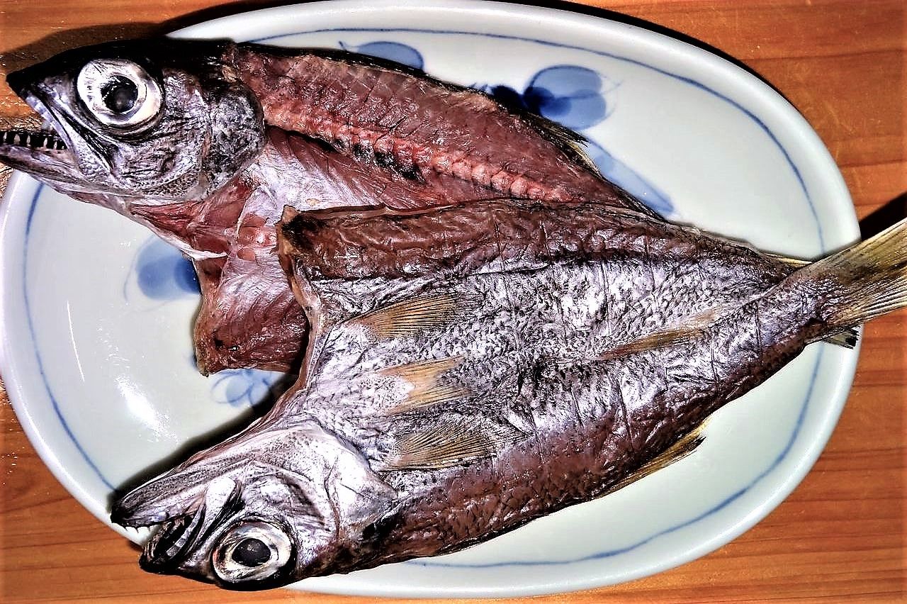 ムツ 本ムツ の刺身 土佐料理 旬の鰹がゆく ムツ 本ムツ の刺身 土佐料理 旬の鰹がゆく