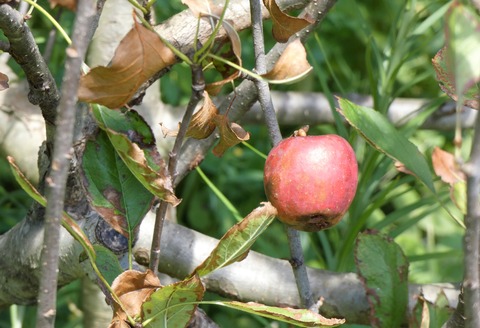 P2650707