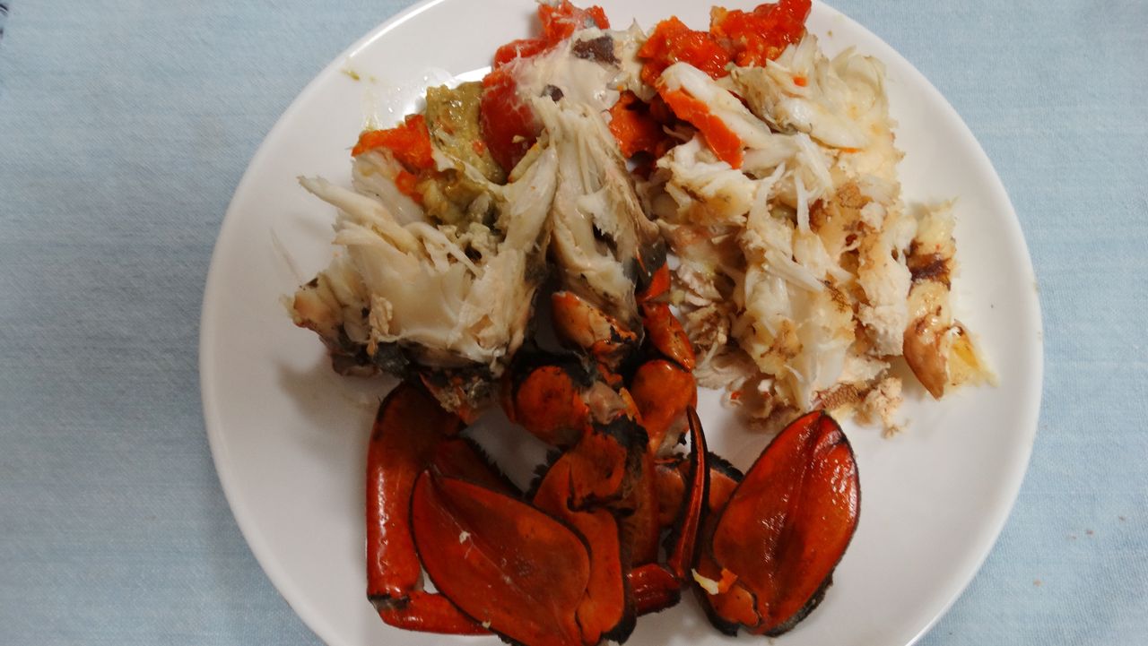 高知のエガニ 土佐料理 旬の鰹がゆく