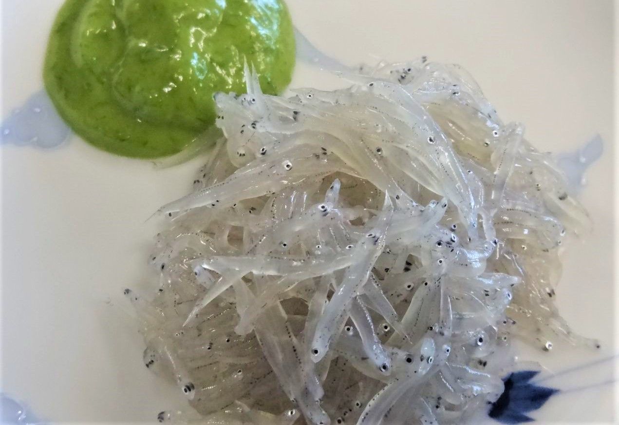 成長別にみる食材の美味しさ 魚編 土佐料理 旬の鰹がゆく 成長別にみる食材の美味しさ 魚編 土佐料理 旬の鰹がゆく