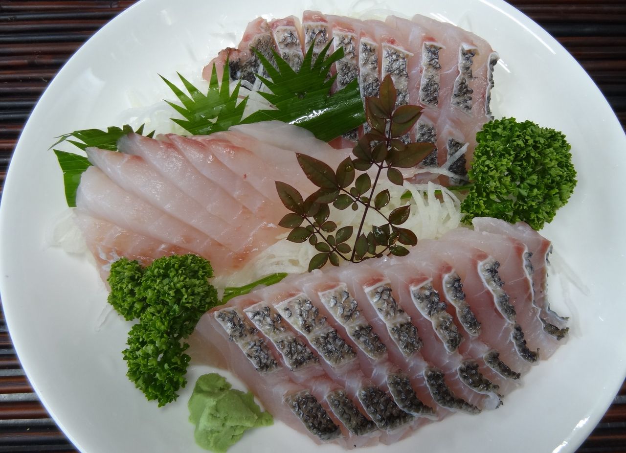 高知でアコウを釣った 土佐料理 旬の鰹がゆく 高知でアコウを釣った 土佐料理 旬の鰹がゆく