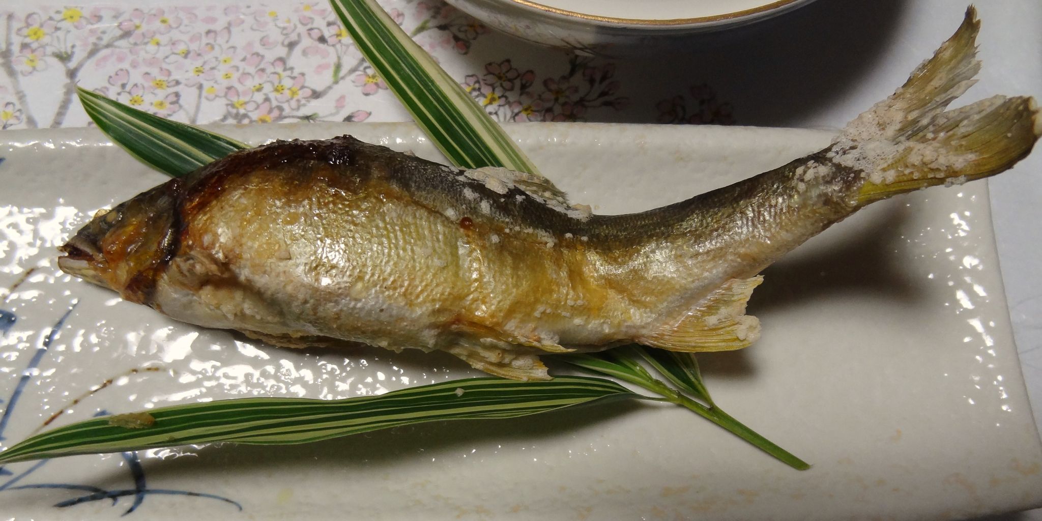吉野川の鮎料理 土佐料理 旬の鰹がゆく